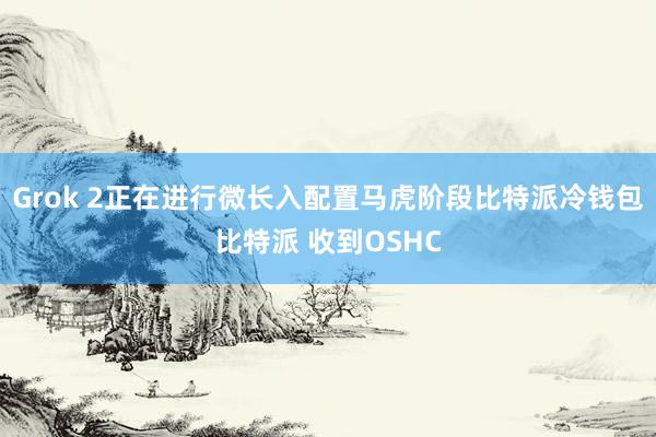 Grok 2正在进行微长入配置马虎阶段比特派冷钱包比特派 收到OSHC