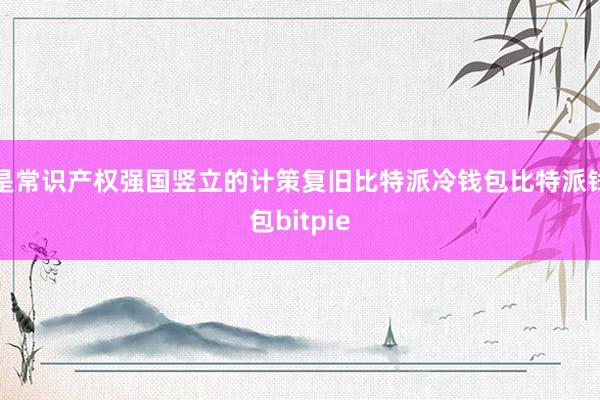 是常识产权强国竖立的计策复旧比特派冷钱包比特派钱包bitpie