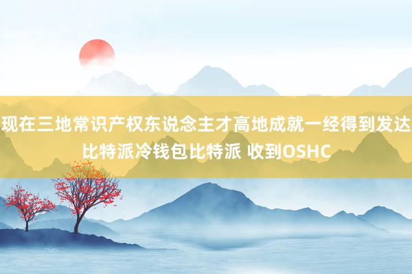 现在三地常识产权东说念主才高地成就一经得到发达比特派冷钱包比特派 收到OSHC