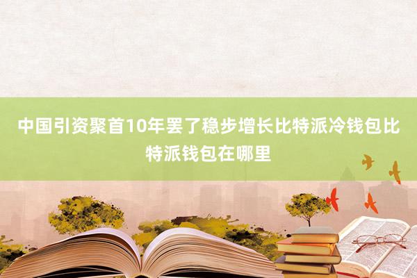 中国引资聚首10年罢了稳步增长比特派冷钱包比特派钱包在哪里