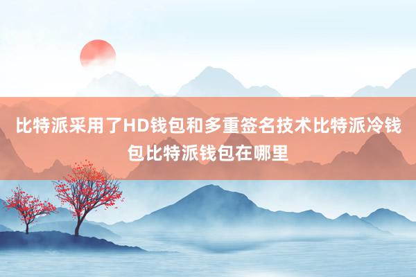 比特派采用了HD钱包和多重签名技术比特派冷钱包比特派钱包在哪里