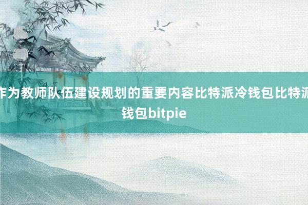 作为教师队伍建设规划的重要内容比特派冷钱包比特派钱包bitpie