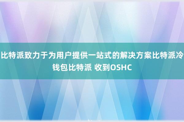 比特派致力于为用户提供一站式的解决方案比特派冷钱包比特派 收到OSHC