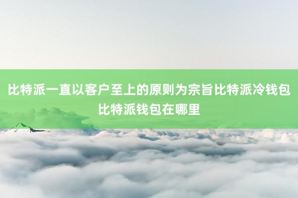 比特派一直以客户至上的原则为宗旨比特派冷钱包比特派钱包在哪里