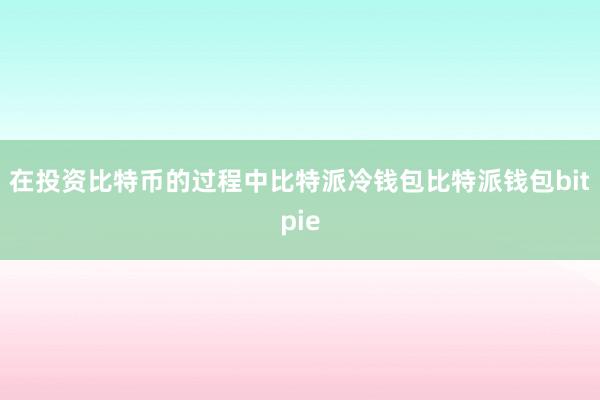 在投资比特币的过程中比特派冷钱包比特派钱包bitpie