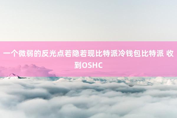 一个微弱的反光点若隐若现比特派冷钱包比特派 收到OSHC