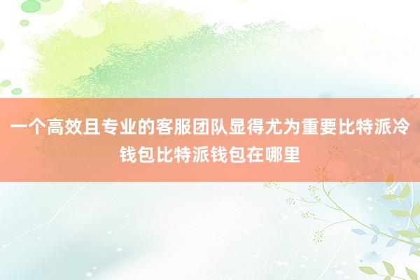 一个高效且专业的客服团队显得尤为重要比特派冷钱包比特派钱包在哪里