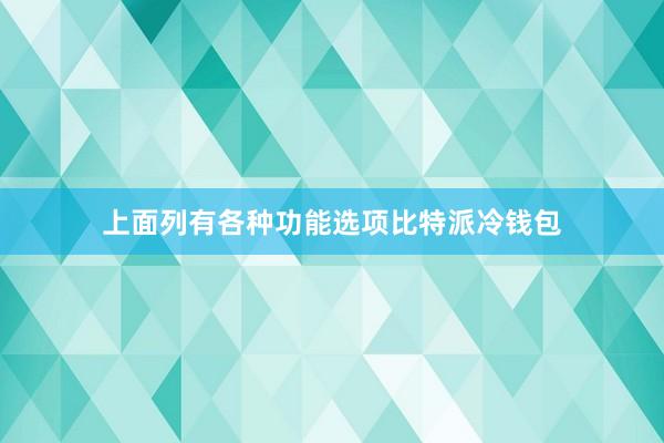 上面列有各种功能选项比特派冷钱包