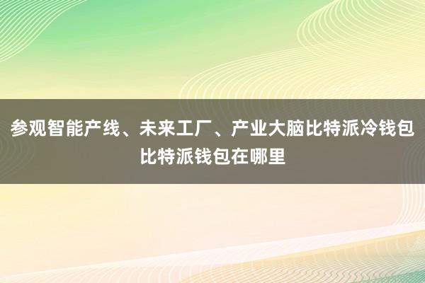 参观智能产线、未来工厂、产业大脑比特派冷钱包比特派钱包在哪里