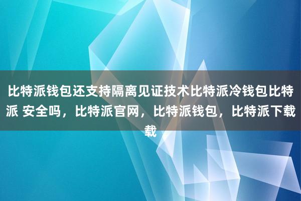 比特派钱包还支持隔离见证技术比特派冷钱包比特派 安全吗，比特派官网，比特派钱包，比特派下载