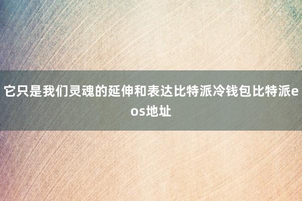 它只是我们灵魂的延伸和表达比特派冷钱包比特派eos地址