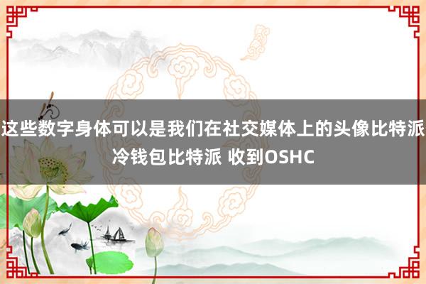 这些数字身体可以是我们在社交媒体上的头像比特派冷钱包比特派 收到OSHC