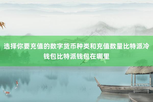 选择你要充值的数字货币种类和充值数量比特派冷钱包比特派钱包在哪里