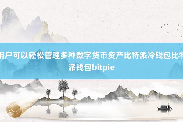 用户可以轻松管理多种数字货币资产比特派冷钱包比特派钱包bitpie