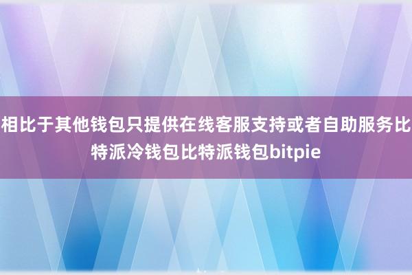 相比于其他钱包只提供在线客服支持或者自助服务比特派冷钱包比特派钱包bitpie