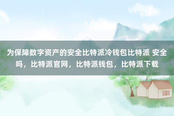 为保障数字资产的安全比特派冷钱包比特派 安全吗，比特派官网，比特派钱包，比特派下载