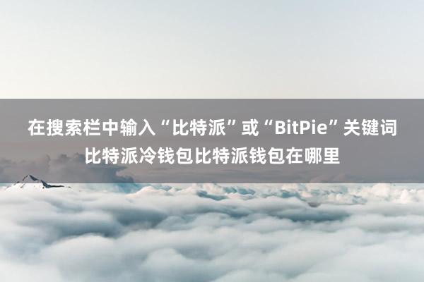 在搜索栏中输入“比特派”或“BitPie”关键词比特派冷钱包比特派钱包在哪里