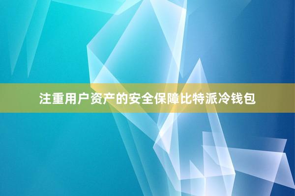 注重用户资产的安全保障比特派冷钱包