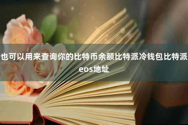 也可以用来查询你的比特币余额比特派冷钱包比特派eos地址