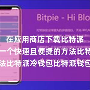 在应用商店下载比特派钱包也是一个快速且便捷的方法比特派冷钱包比特派钱包在哪里