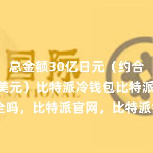 总金额30亿日元（约合1900万美元）比特派冷钱包比特派 安全吗，比特派官网，比特派钱包，比特派下载