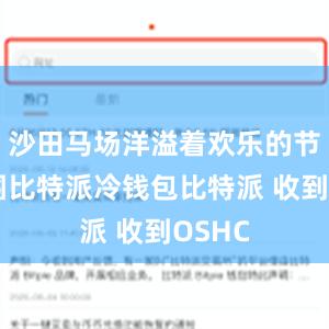 沙田马场洋溢着欢乐的节日氛围比特派冷钱包比特派 收到OSHC