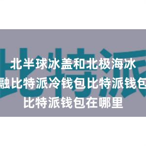 北半球冰盖和北极海冰加速消融比特派冷钱包比特派钱包在哪里