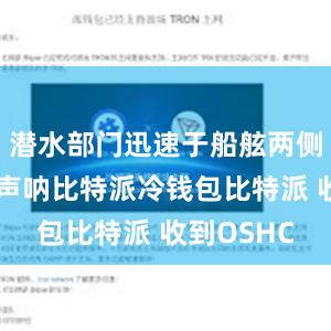 潜水部门迅速于船舷两侧吊放侧扫声呐比特派冷钱包比特派 收到OSHC