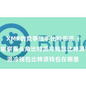 XMR的竞争敌手比特币派（BTC）也初始崭露头角比特派冷钱包比特派钱包在哪里