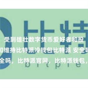 受到雄壮数字货币爱好者和投资者的笃定和维持比特派冷钱包比特派 安全吗，比特派官网，比特派钱包，比特派下载